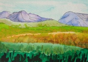 Landscape 12