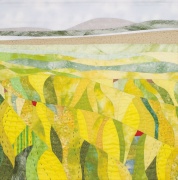 Yellow Field, Berneray