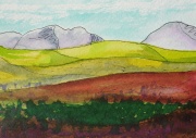 Landscape 15