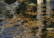 Reflections in Barra