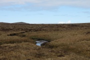 Lewis Moor